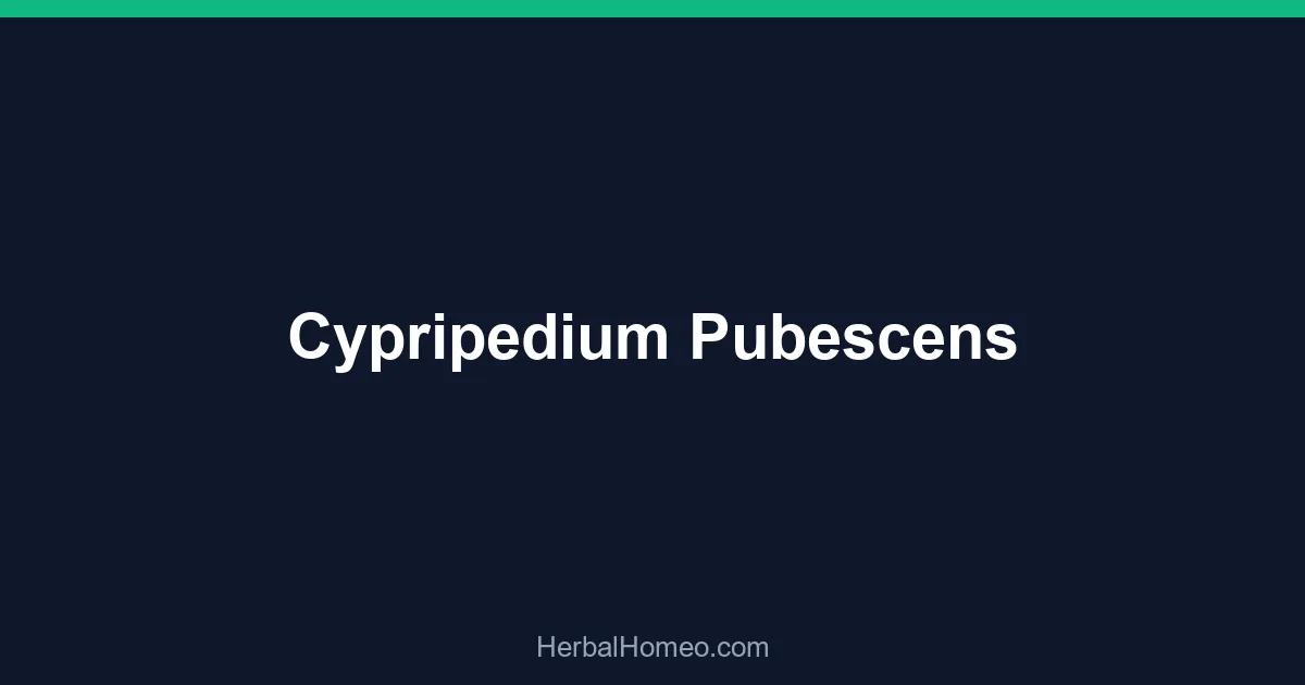 Cypripedium Pubescens