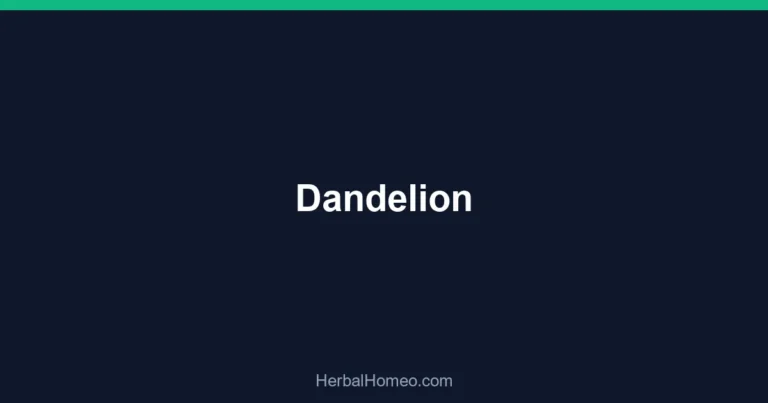 Dandelion