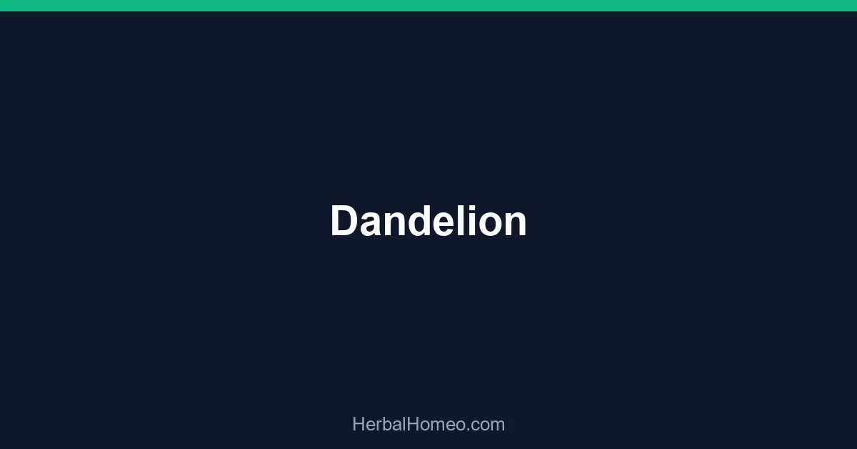 Dandelion