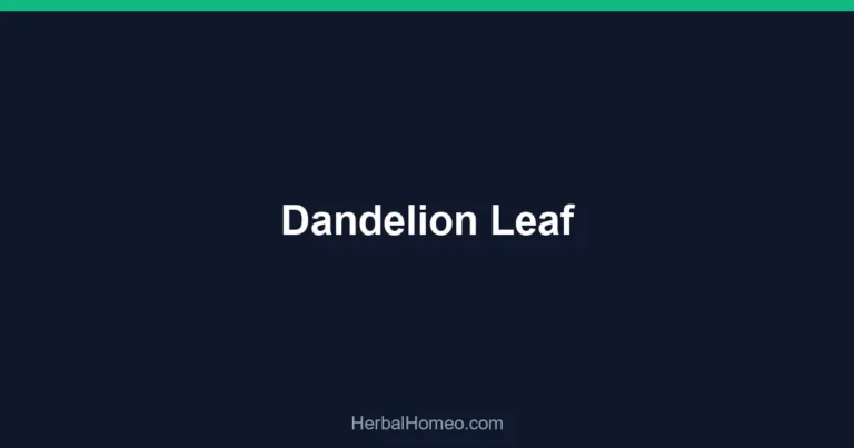 Dandelion Leaf
