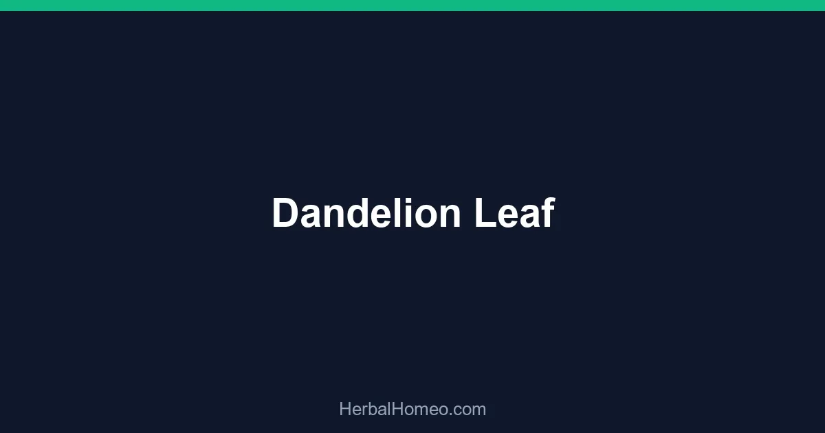 Dandelion Leaf