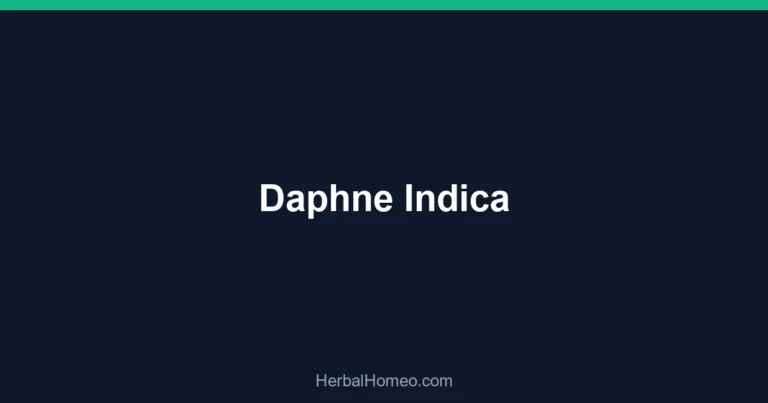 Daphne Indica