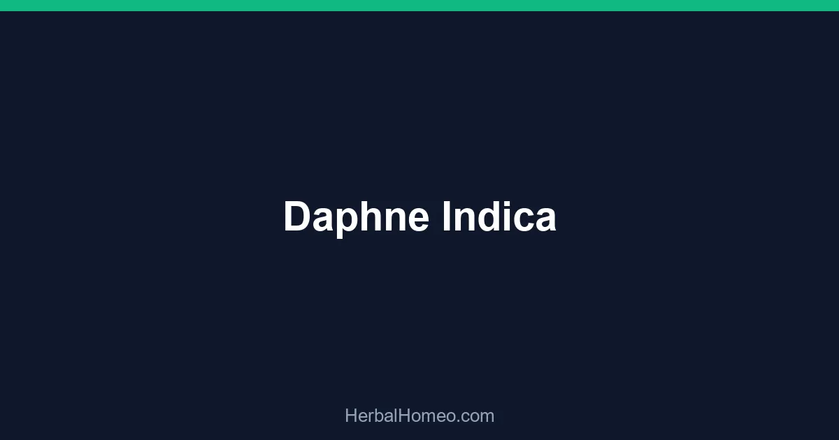 Daphne Indica