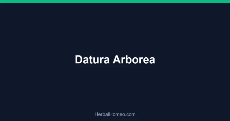 Datura Arborea