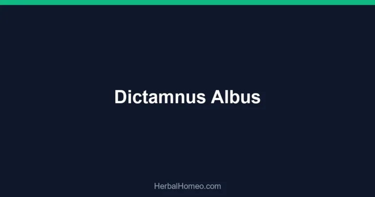 Dictamnus Albus