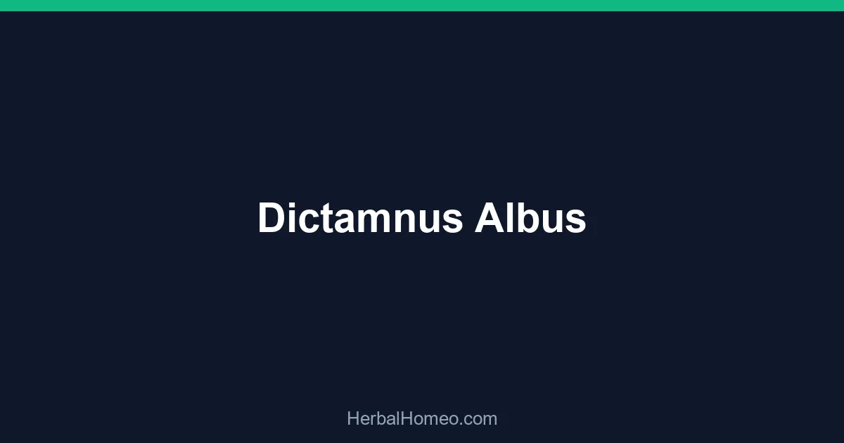 Dictamnus Albus