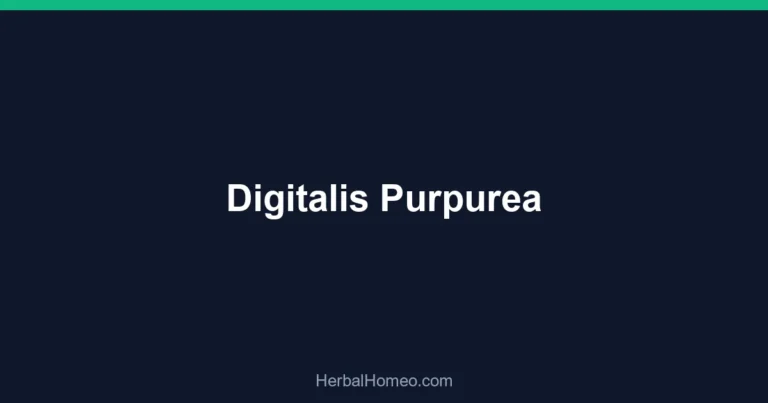 Digitalis Purpurea