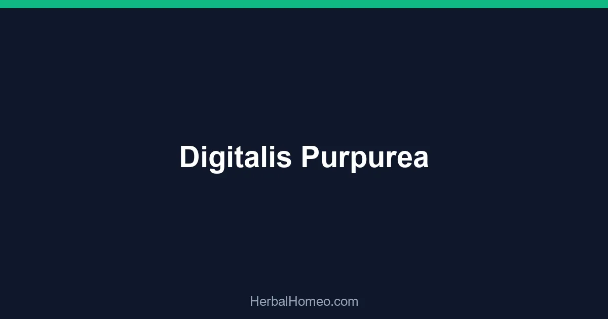 Digitalis Purpurea
