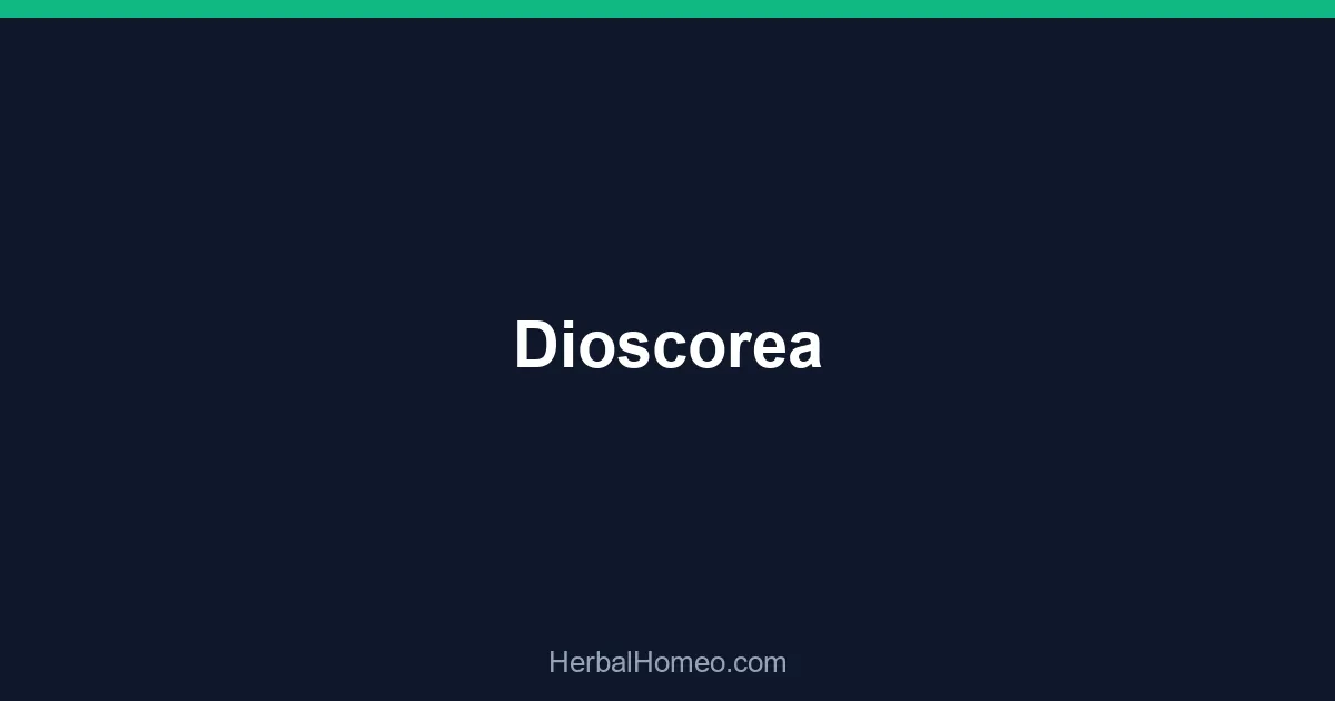 Dioscorea
