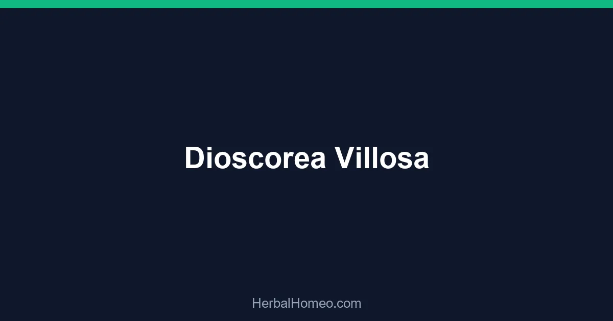 Dioscorea Villosa