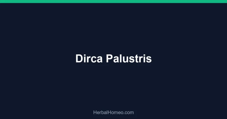 Dirca Palustris