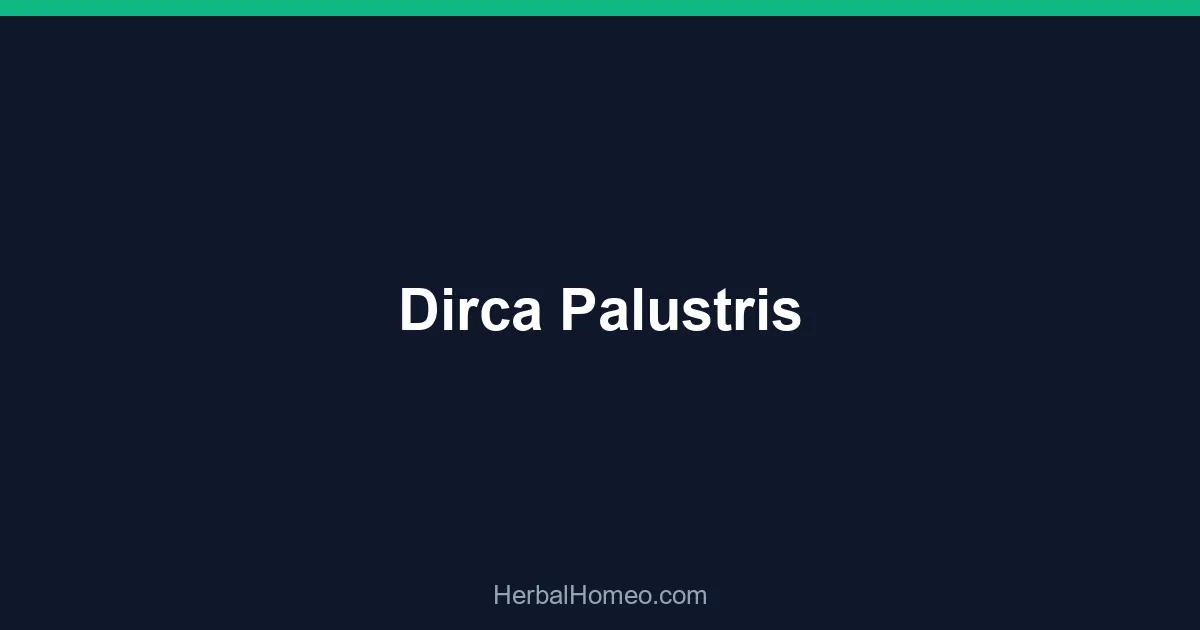 Dirca Palustris
