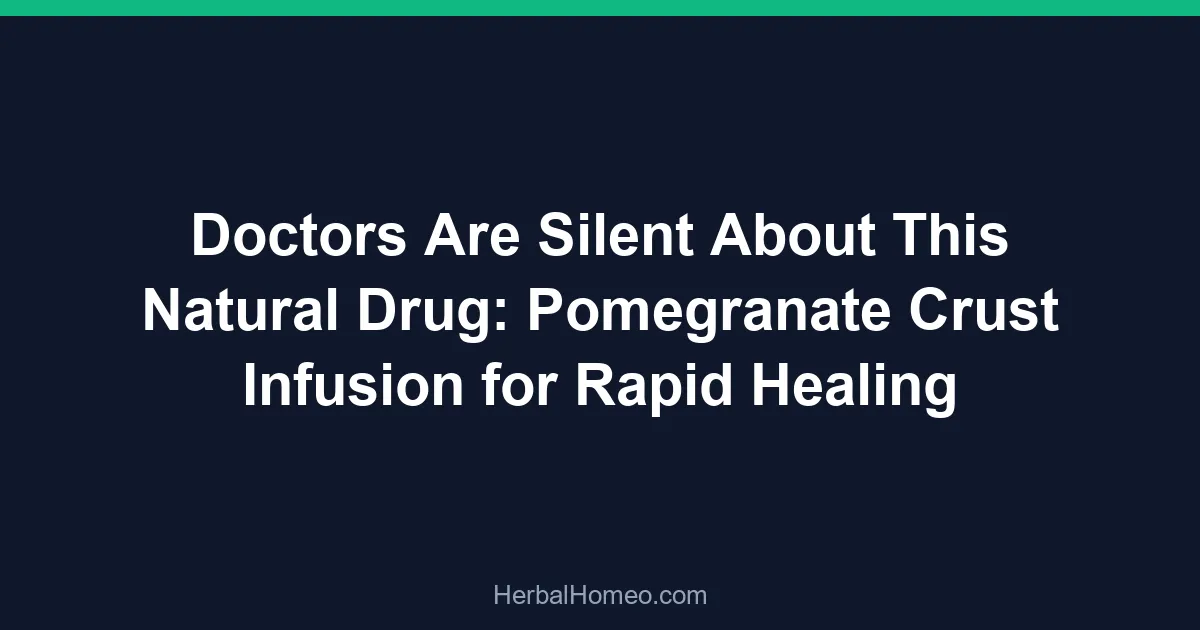 Doctors Are Silent About This Natural Drug: Pomegranate Crust Infusion for Rapid Healing