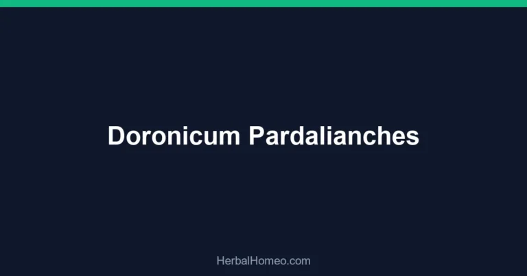 Doronicum Pardalianches