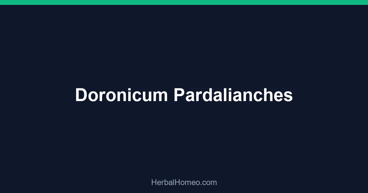 Doronicum Pardalianches