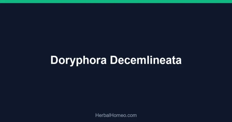 Doryphora Decemlineata