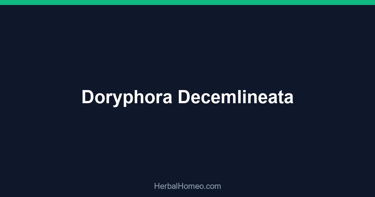 Doryphora Decemlineata