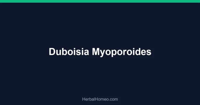 Duboisia Myoporoides