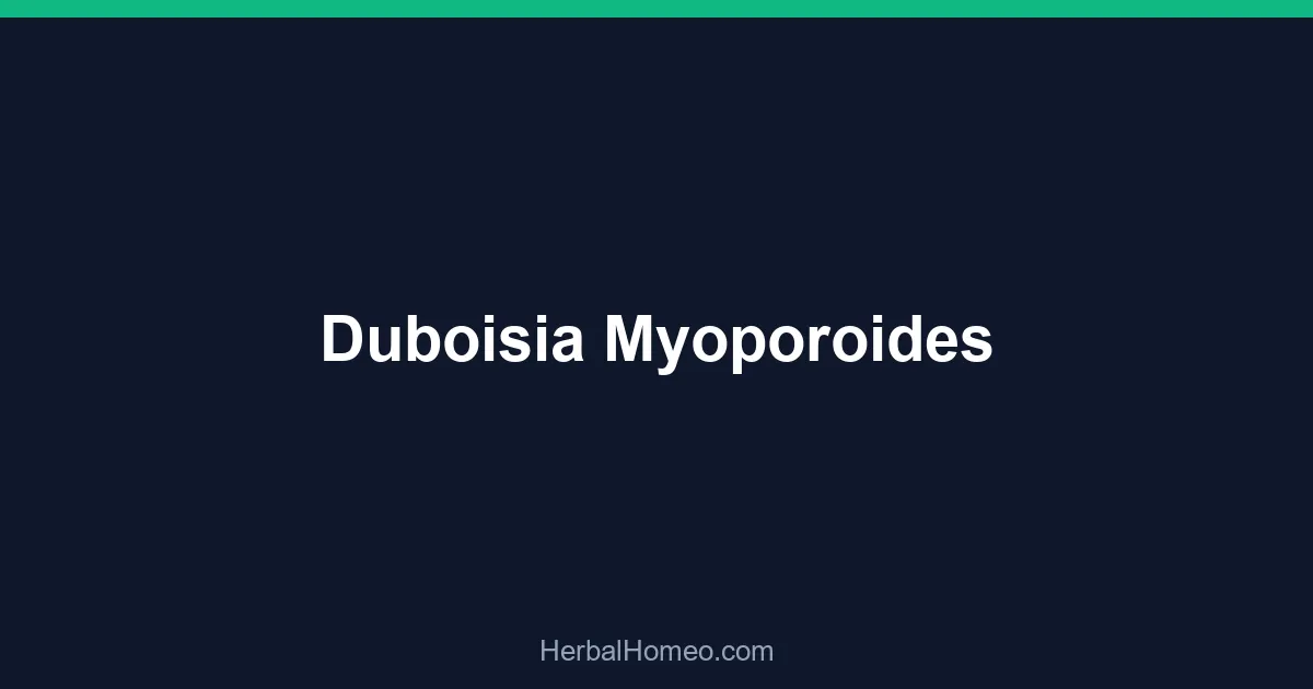Duboisia Myoporoides