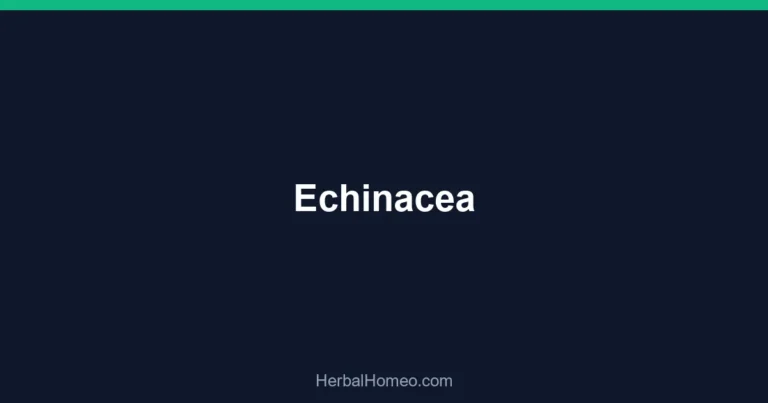 Echinacea