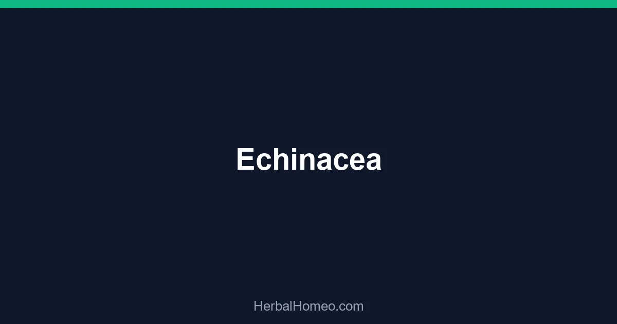 Echinacea