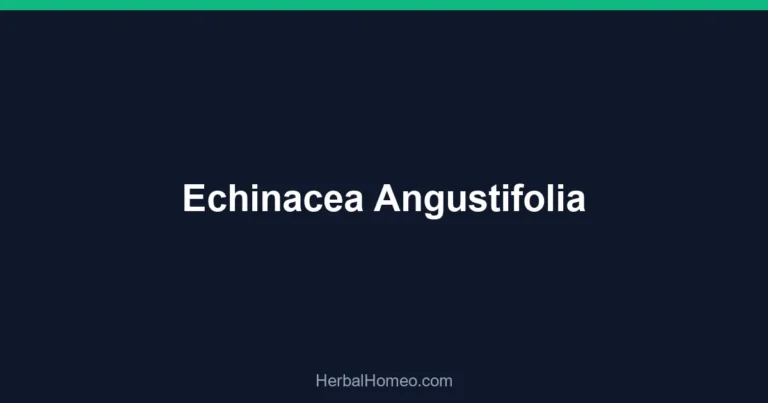 Echinacea Angustifolia
