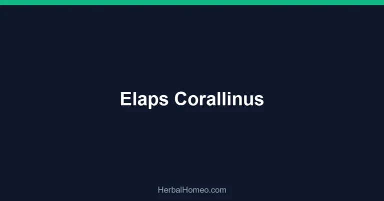 Elaps Corallinus