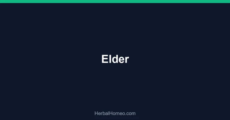 Elder