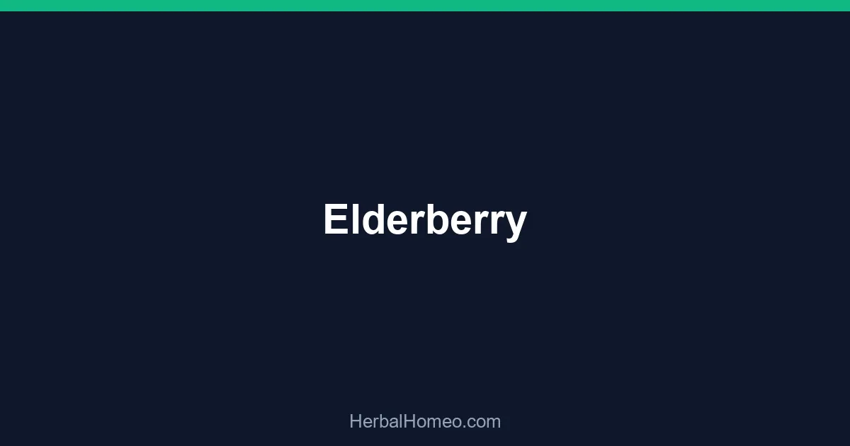 Elderberry