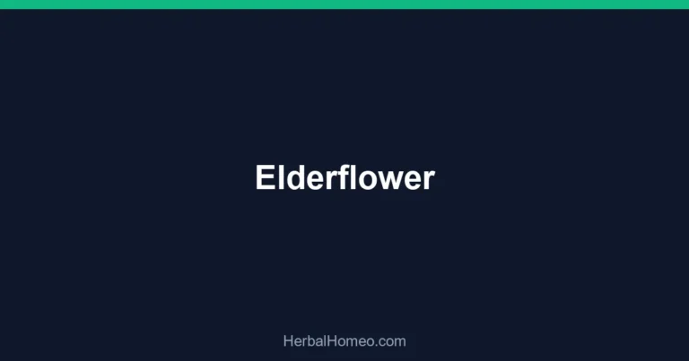 Elderflower