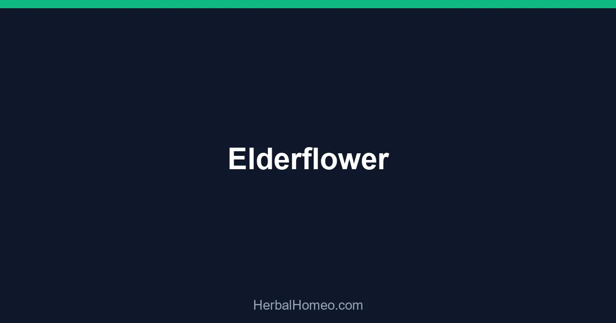 Elderflower