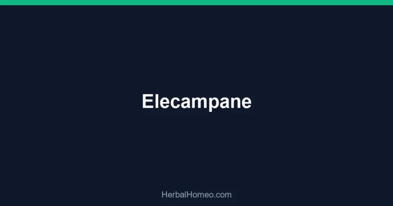 Elecampane