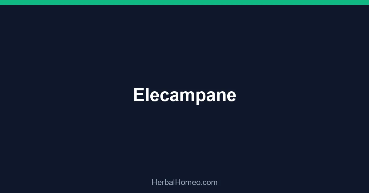 Elecampane