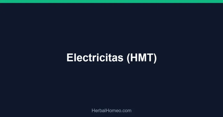 Electricitas (HMT)