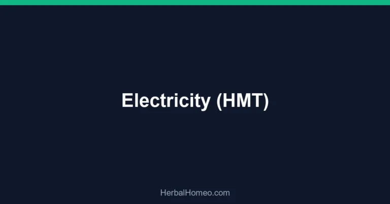 Electricity (HMT)