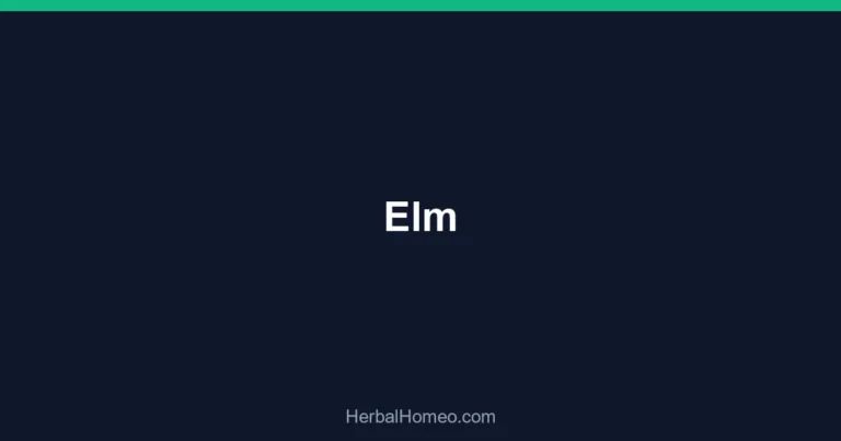 Elm