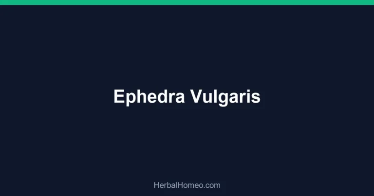 Ephedra Vulgaris