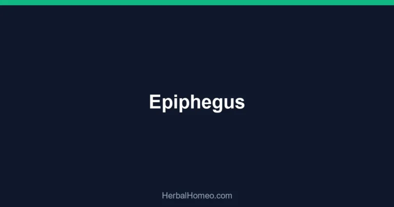 Epiphegus