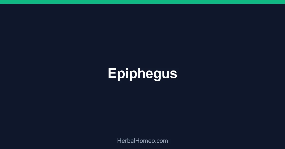 Epiphegus