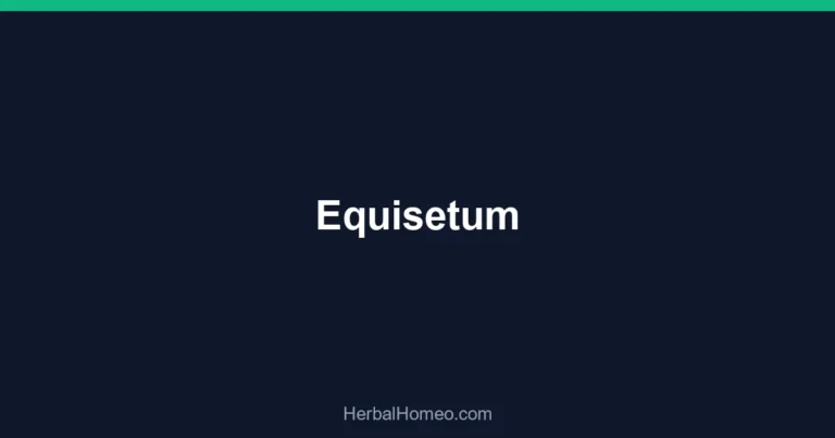 Equisetum