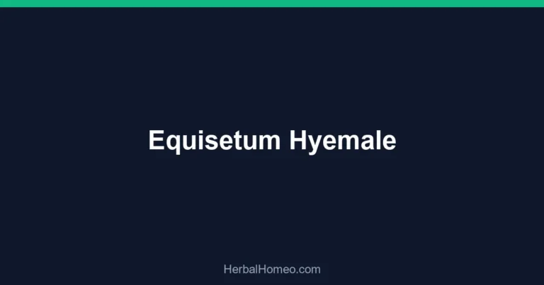 Equisetum Hyemale