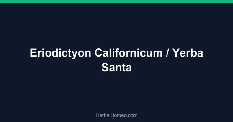 Eriodictyon Californicum / Yerba Santa