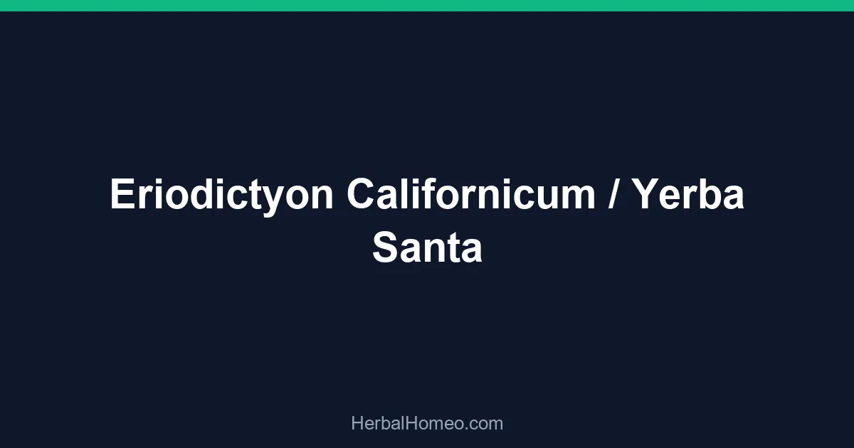 Eriodictyon Californicum / Yerba Santa