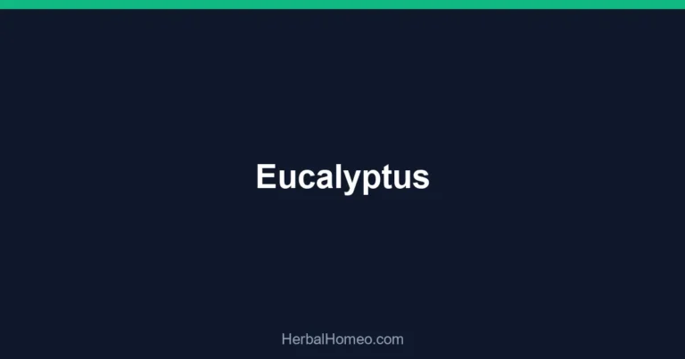 Eucalyptus