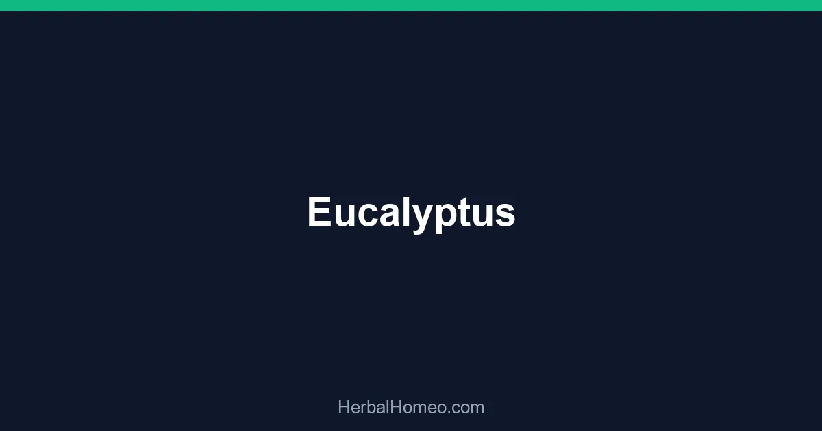 Eucalyptus