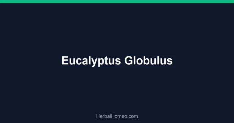 Eucalyptus Globulus