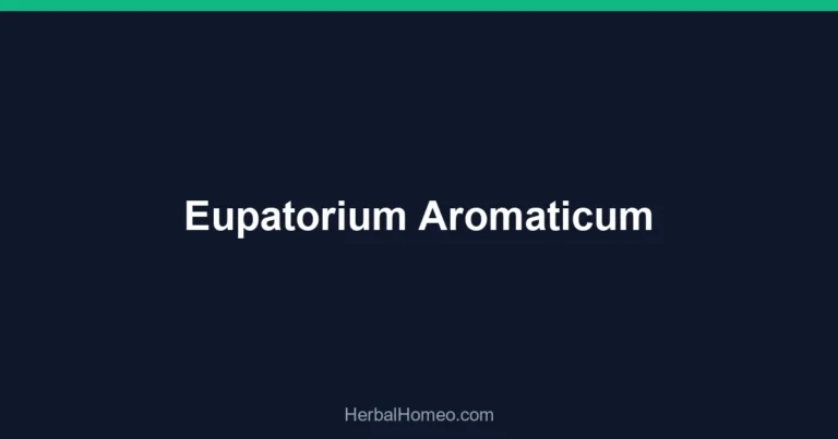 Eupatorium Aromaticum
