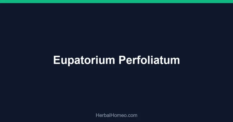 Eupatorium Perfoliatum