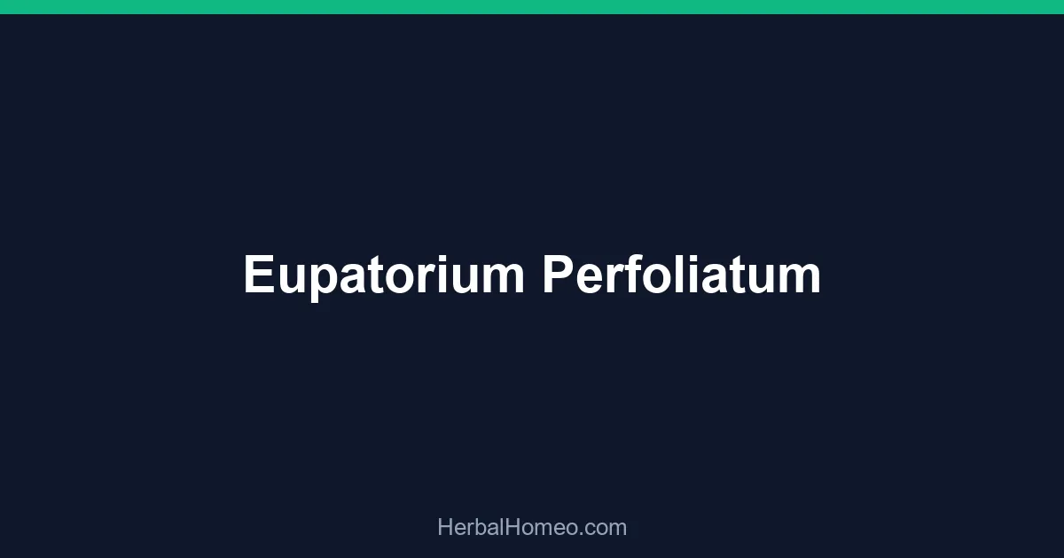 Eupatorium Perfoliatum