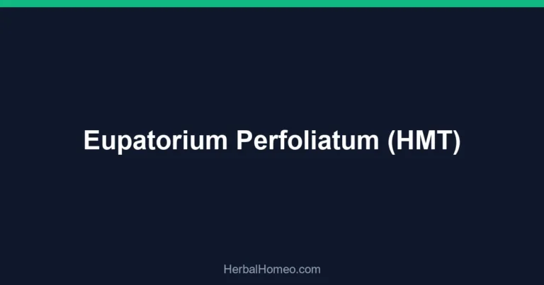 Eupatorium Perfoliatum (HMT)